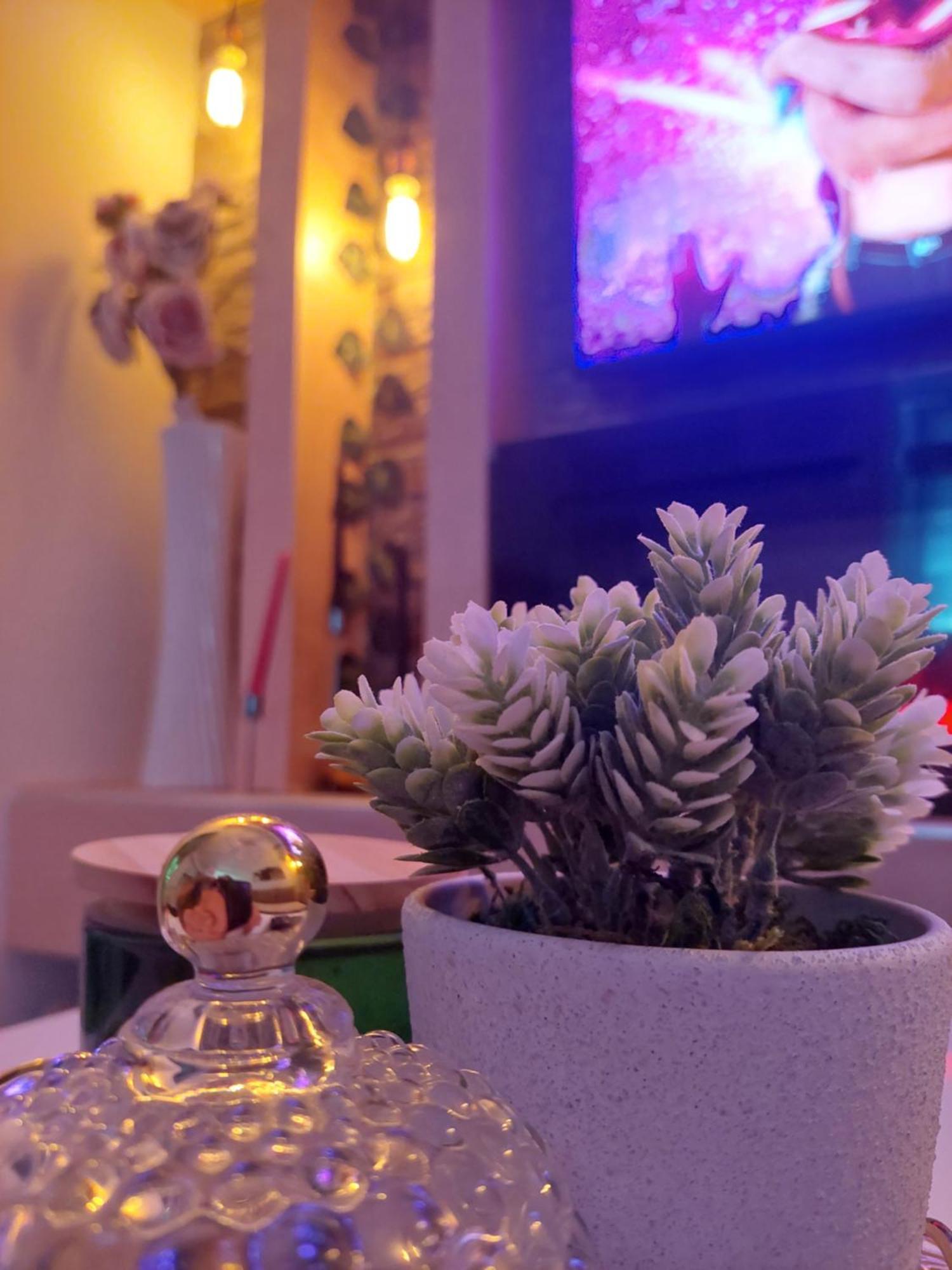 Apartman Star Lux Kula 외부 사진